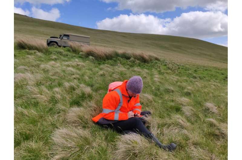 No evidence that England's new 'biodiversity boost' planning policy will help birds or butterflies