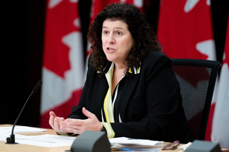 Auditor General of Canada Karen Hogan speaks during a press conference at the National Press Theatre in Ottawa, on Tuesday, March 19, 2024.