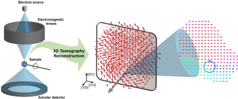 Three Dimensional Polarization Distribution of BaTiO3 Nanoparticles Revealed by Atomic Electron Tomography