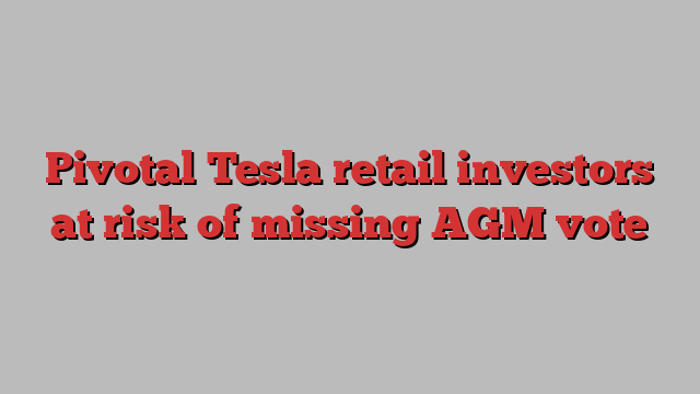 Pivotal Tesla retail investors at risk of missing AGM vote