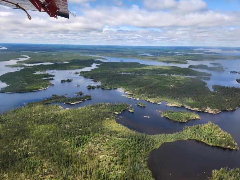 Aerial view of lakes and forests in Wabakimi Provincial Park.