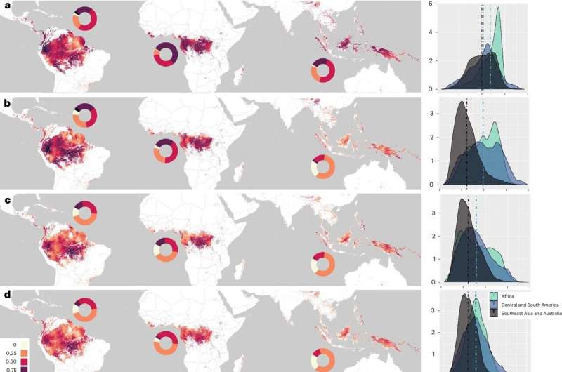 Rainforest wildlife under threat as below-canopy temperatures rise