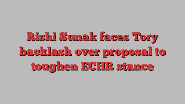 Rishi Sunak faces Tory backlash over proposal to toughen ECHR stance