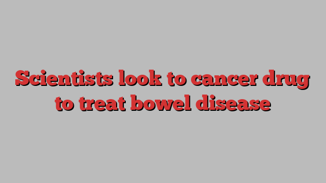 Scientists look to cancer drug to treat bowel disease