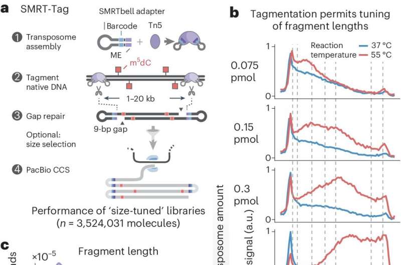 Scientists push single-molecule DNA sequencing to the next level