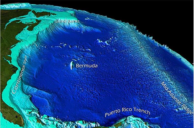 Shape and depth of ocean floor profoundly influence how carbon is stored there