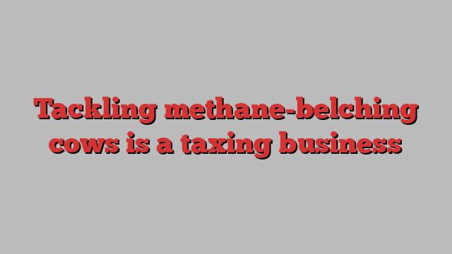 Tackling methane-belching cows is a taxing business