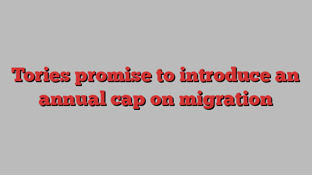 Tories promise to introduce an annual cap on migration