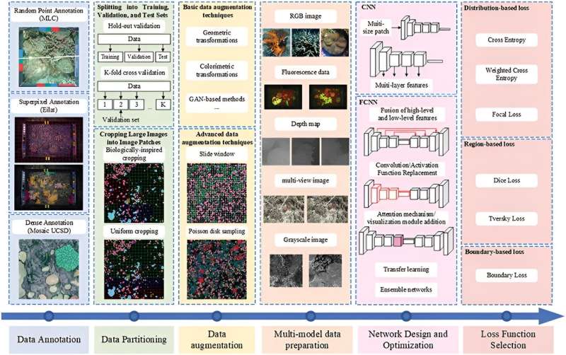 AI goes underwater: transforming coral reef conservation with cutting-edge image analysis