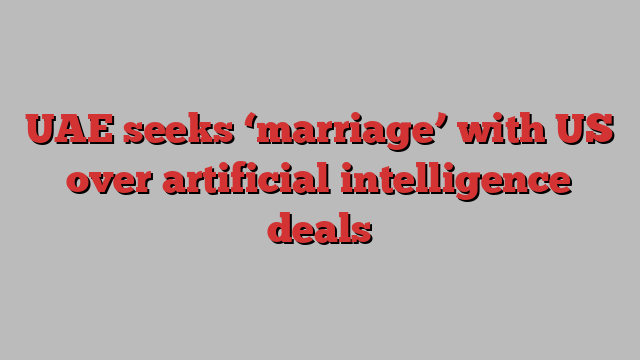 UAE seeks ‘marriage’ with US over artificial intelligence deals