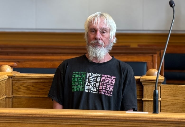 A man with grey-white hair and a busy beard the same colour sits in a prisoner's dock.