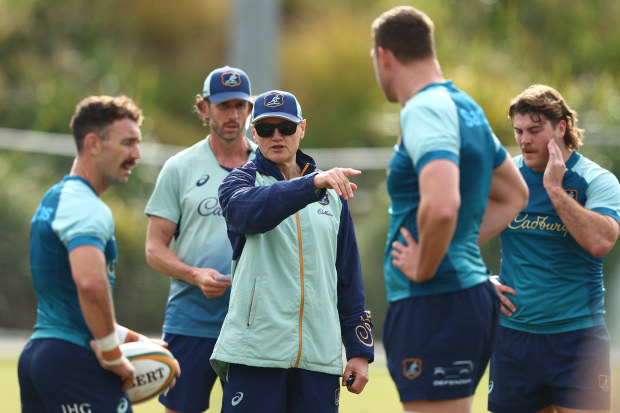 Coach Joe Schmidt during a Wallabies training session at Ballymore Stadium.