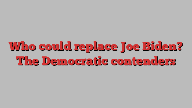 Who could replace Joe Biden? The Democratic contenders