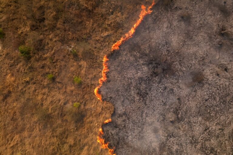 Brazil’s Pantanal wetlands hit by record fires