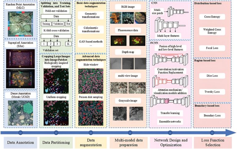 Transforming coral reef conservation with cutting-edge image analysis