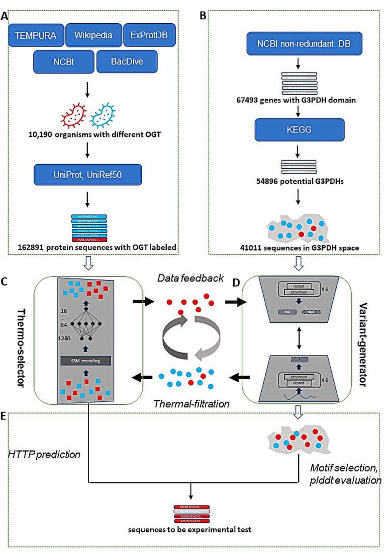 An ‘intelligent’ strategy for engineering customized proteins