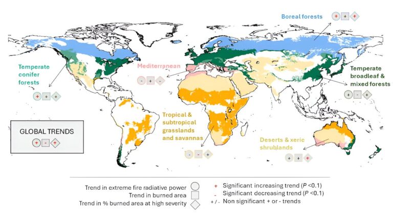 Extreme wildfires have doubled in just 20 years—here’s the science