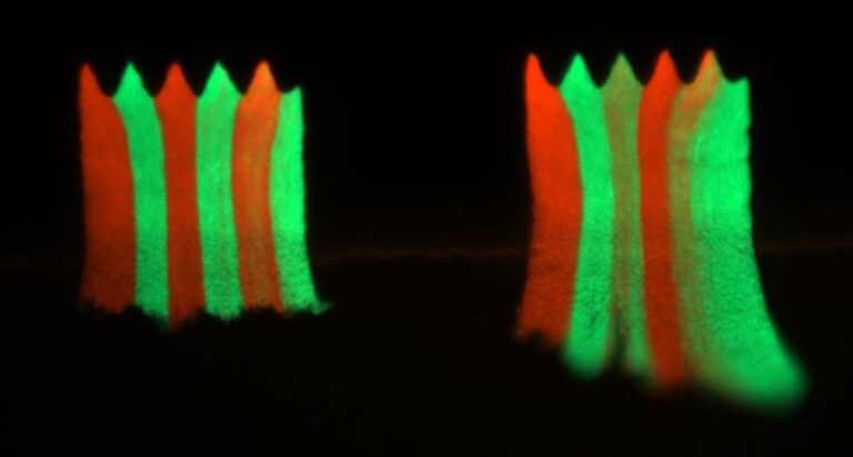 Research team develops surfaces designed to discourage spread of resistant bacteria