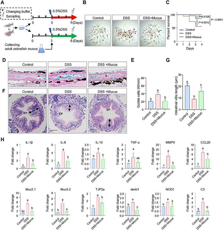 A form of maternal immunity like mammalian milk