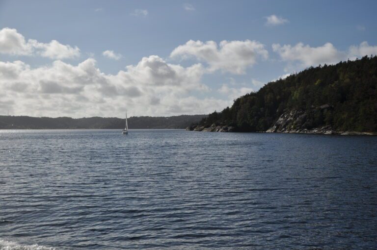 Fjords are effective carbon traps regardless of oxygen levels, finds study