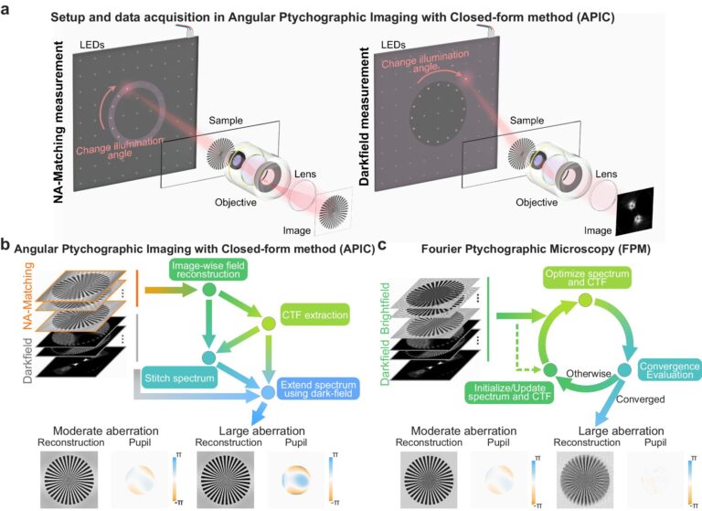 New computational microscopy technique provides more direct route to crisp images