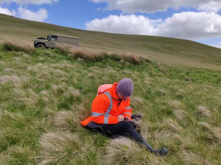 No evidence that England’s new ‘biodiversity boost’ planning policy will help birds or butterflies