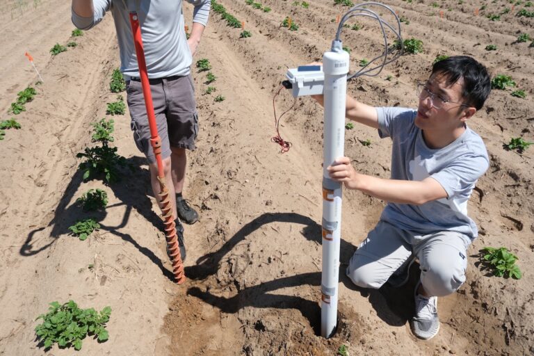 Printed sensors in soil could help farmers improve crop yields and save money