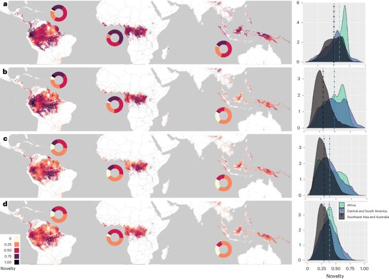 Rainforest wildlife under threat as below-canopy temperatures rise, new study warns