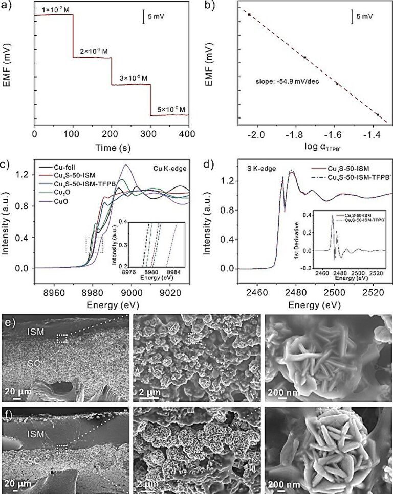 Researchers report new solid contact, ion-selective electrodes