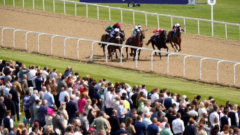 Friday tips: Horses to follow on day three at Newcastle | Racing News