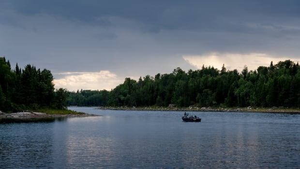 Grassy Narrows First Nation files lawsuit against Ontario, federal governments over mercury contamination