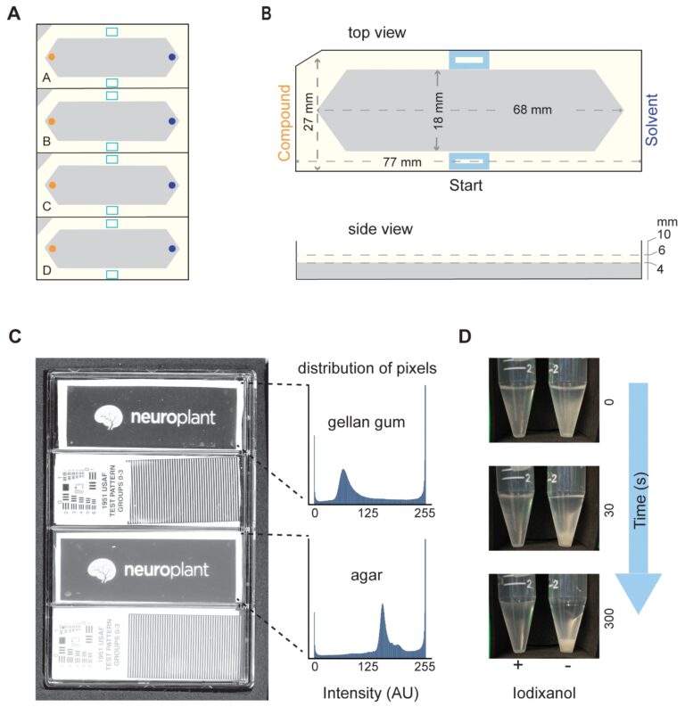 DIY lab platform evaluates new molecules in minutes