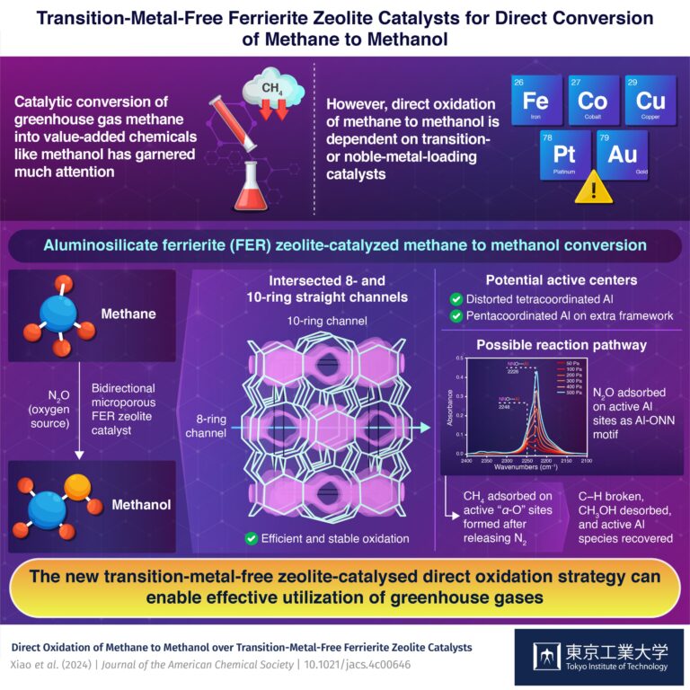 A transition-metal-free zeolite catalyst for direct conversion of methane to methanol