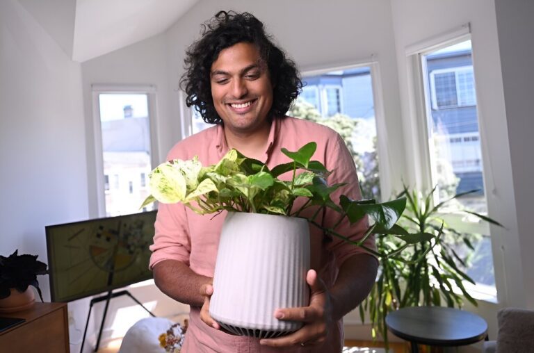 the super plant that attacks air pollution