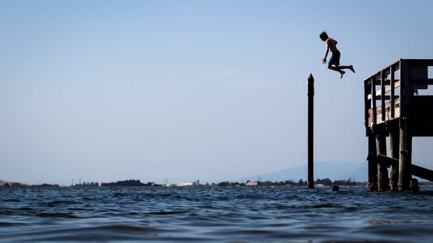 Forecasters warn B.C. of hot summer, as province offers more free air conditioners