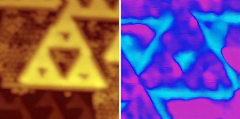 Bismuth Fractal Formed on Top of Indium Antimonide