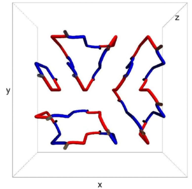 Top View Quantum Vortex Network 3D Configuration