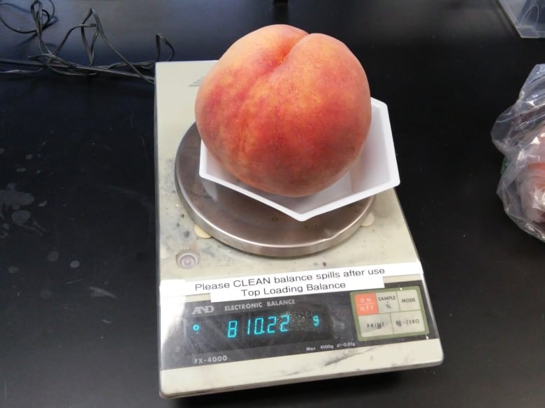 A massive peach sits on a scale showing 810 grams as the total weight