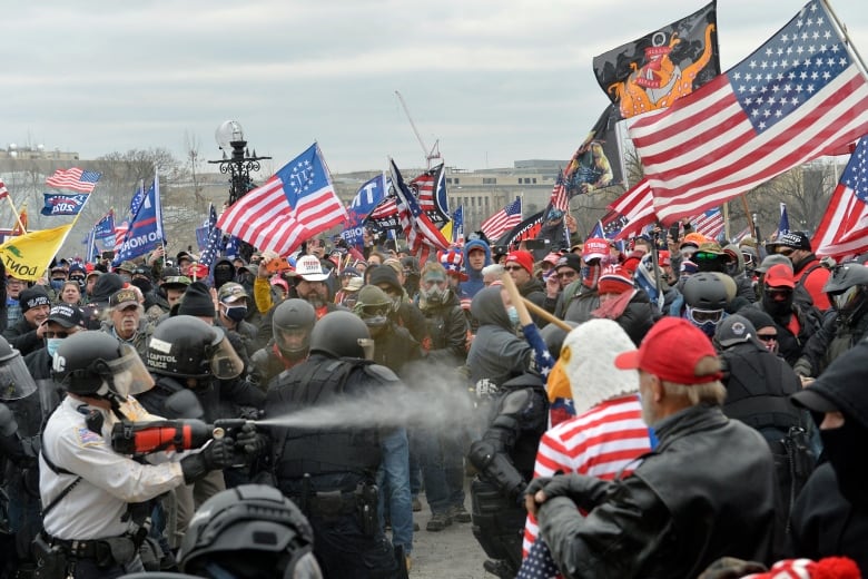 An angry mob holding flags