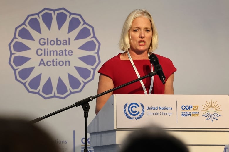 The chair of the United Nations Secretary-General's High-level Expert Group on Net-Zero Commitments, Catherine McKenna, delivers a speech during a UN expert panel at the COP27 climate conference at the Sharm el-Sheikh International Convention Centre, in Egypt's Red Sea resort city of the same name, on November 8, 2022.