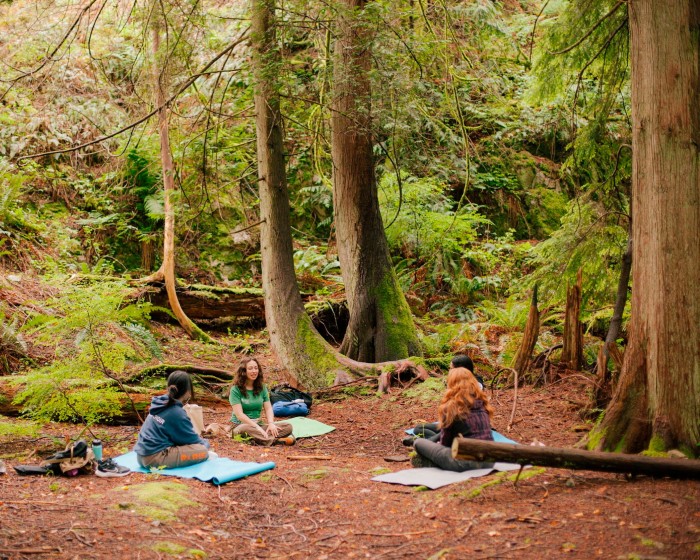 Four women sitting on yoga mats in a clearing in the woods