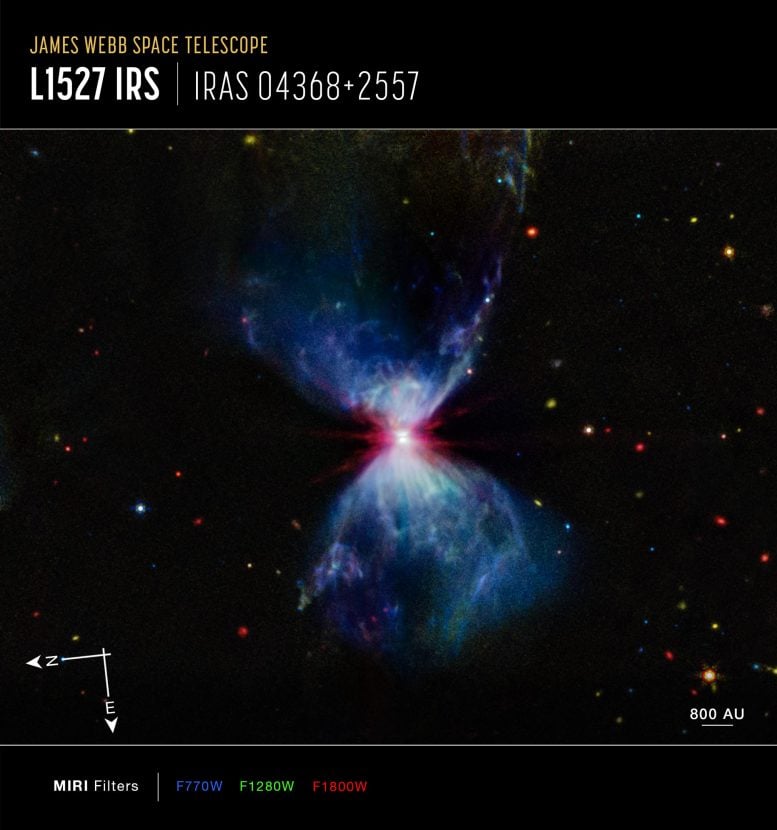 L1527 and Protostar (Webb Compass MIRI Image)