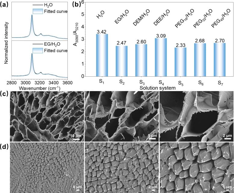 Water-Ice Microstructures and Hydration States of Acridinium Iodide