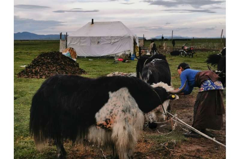 Braiding community values with science is key to ecosystem restoration 