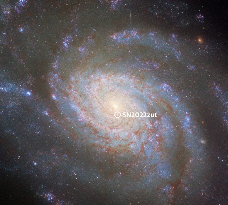 Galaxy NGC 3810 With Annotated Supernova