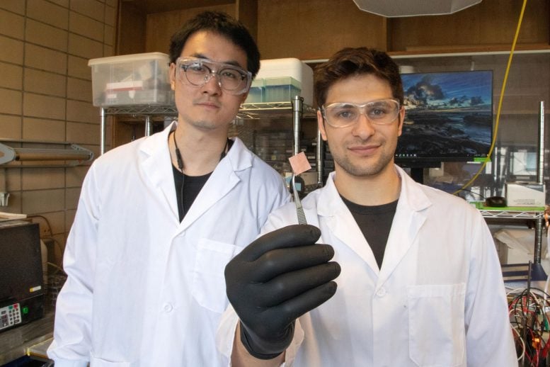 New Catalyst To Convert Captured CO2 Gas Into Valuable Products