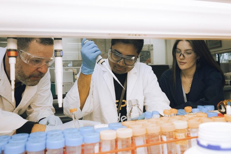 Dr Sandro Ataide and Team in the Laboratory