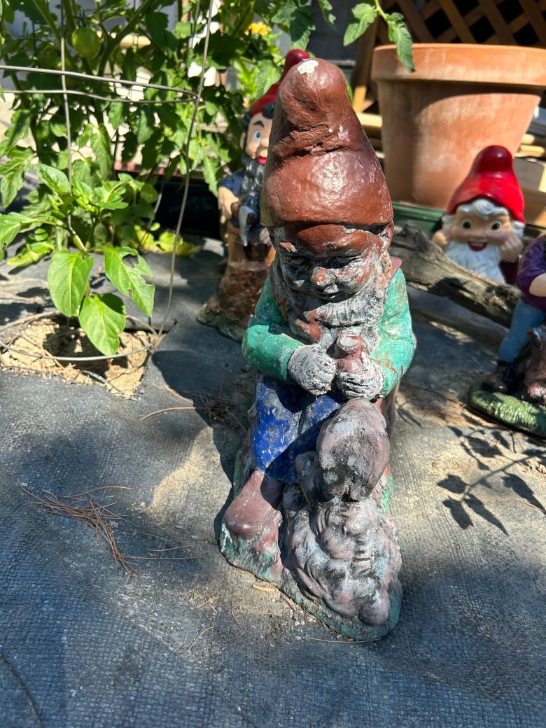 A garden gnome with peeling paint.