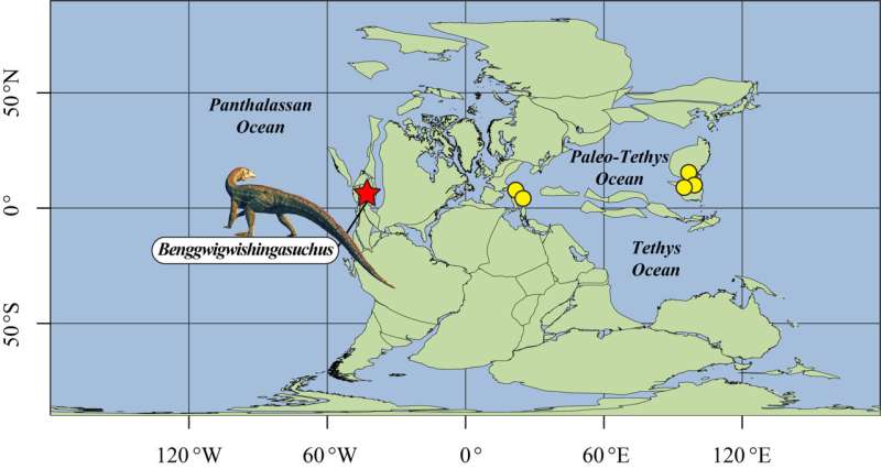 A new species of extinct crocodile relative rewrites life on the Triassic coastline