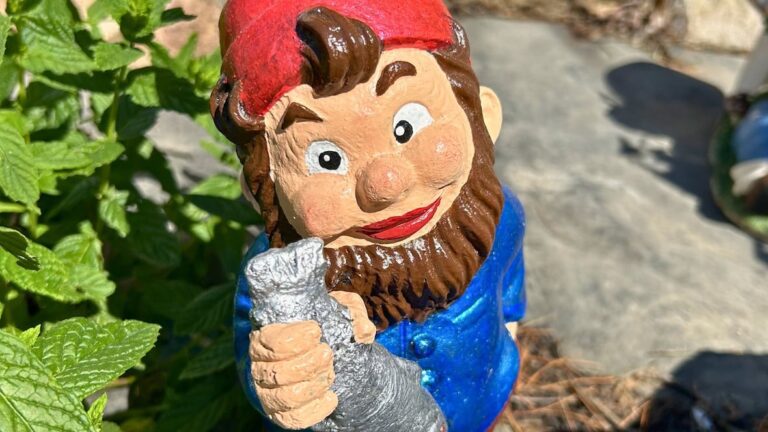 WATCH | #TheMoment a secret restoration society returned stolen garden gnomes